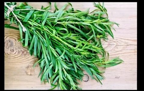 فروش عمده سبزی ترخون خشک با نازل ترین قیمت